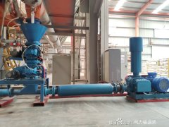 Precautions for selecting Roots blower for gypsum powder pne