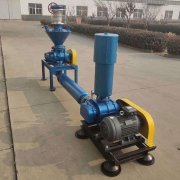 Design of Roots blower system for pneumatic conveyi