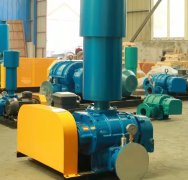 Application and selection of aeration Roots blower for sewag