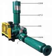 Discussion on the advantages of Roots blower in the field of