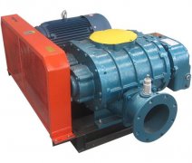 Roots vacuum pump selection guide: manufacturer provides sug