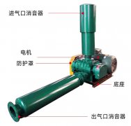 Application Introduction of Boiler Fan Roots Fan