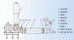 Anatomy diagram of Roots blower