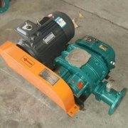 Roots vacuum pump fan