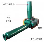 Roots blower structure: mainly includes the following key pa