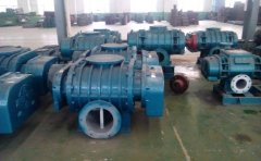 Special Roots blower for pneumatic conveying