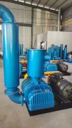 Negative pressure Roots blower vacuum pump