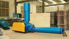 Roots blower 150 model parameters